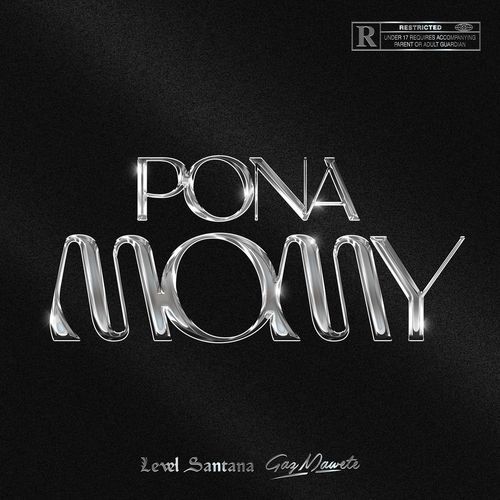 PONA MOMY_poster_image