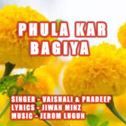 Phula Kar Bagiya-CV0bViRRbXw