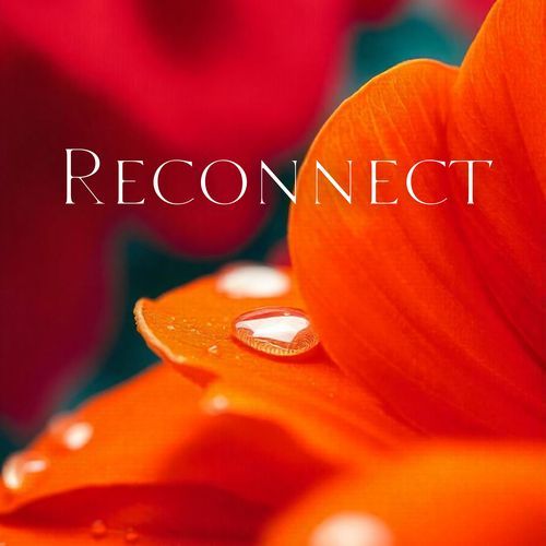 Reconnect: Healing Through Nature_poster_image