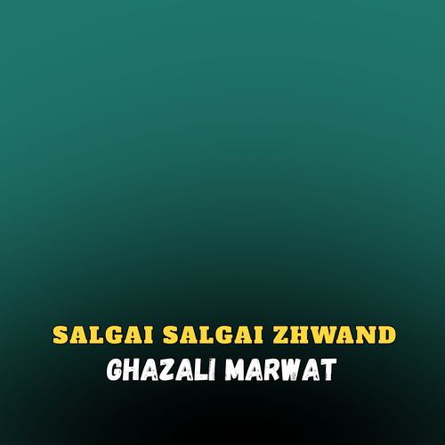 Salgai Salgai Zhwand