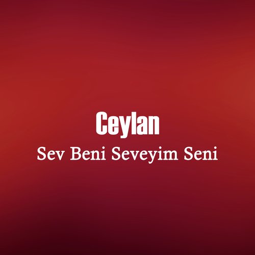 Sev Beni Seveyim Seni