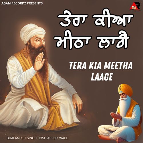 Tera Kia Meetha Laage