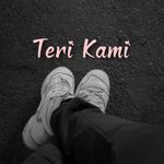 Teri kami