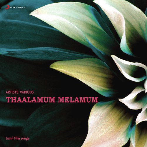 Thaalamum Melamum