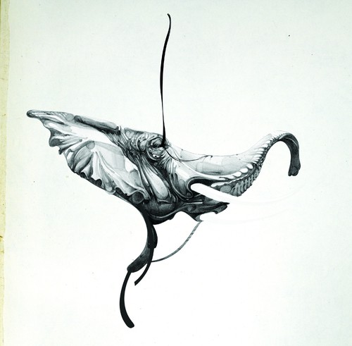 Futt cover art