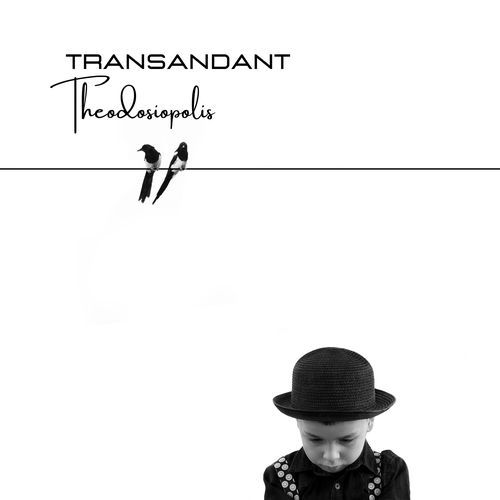 Transandant cover art