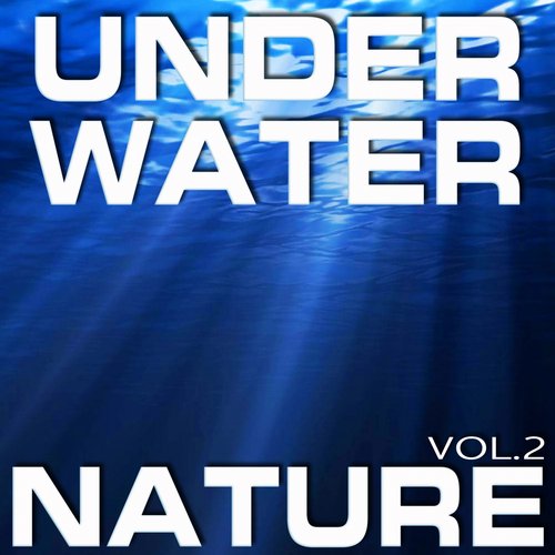 White Noise Underwater Nature (FX Effects Remix) cover art
