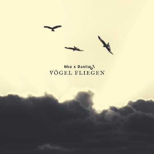 Vögel Fliegen