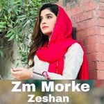 Zm Morke