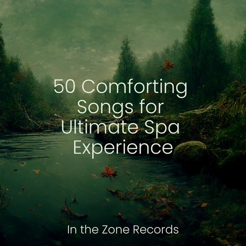 50 Comforting Songs for Ultimate Spa Experience_poster_image