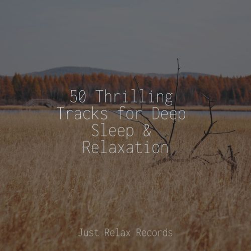 Midnight Meditationscape cover art