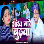 Aakh Mare Budhwa