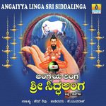 Siddaroodara Jathri Joru