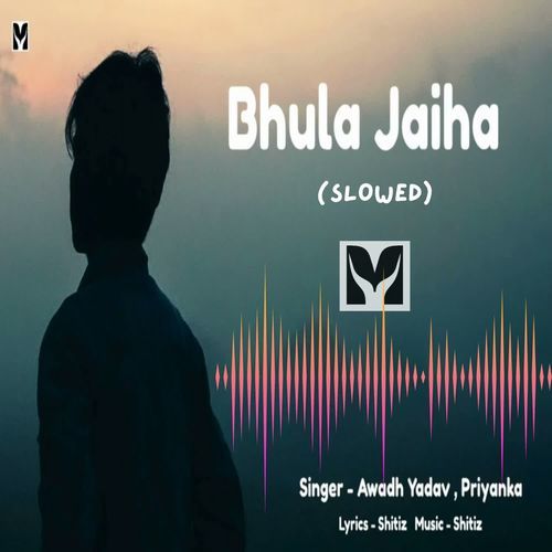 Bhula Jaiha (Slowed)