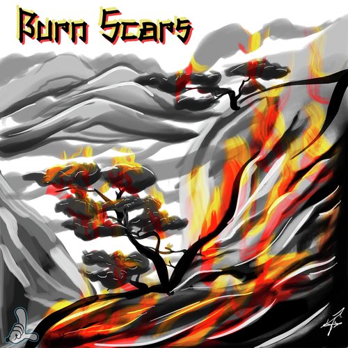 Burn Scars_poster_image