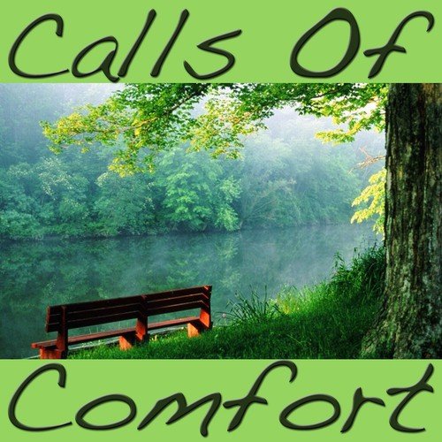 Calls Of Comfort