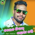 College Jibar Bahana Kari