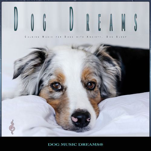 Dog Dreams