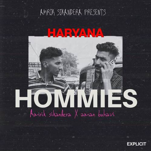 Haryana Hommies