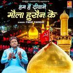 Hum Hai Deewane Maula Hussain Ke