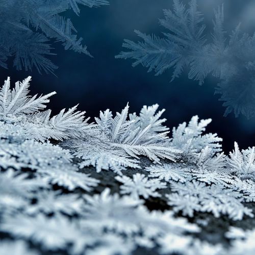 Ice Cold