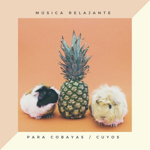 Relajación Felíz cover art