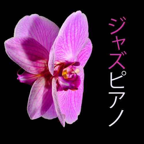 ボサノバ cover art