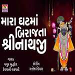 Mara Ghat Ma Birajta Shrinathji