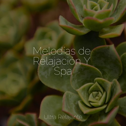 Melodías de Relajación Y Spa_poster_image