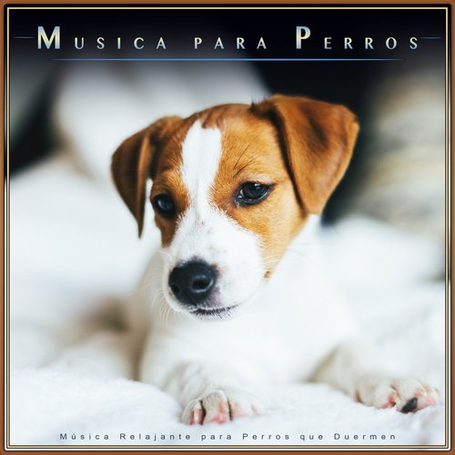 Ansiedad De Los Perros cover art