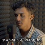 PALNILA PUNJIRI