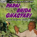 Parai Bhida Ghasyari