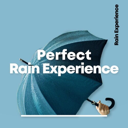 Rain Recorders cover art