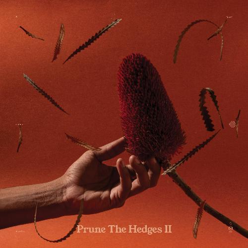 Prune the Hedges II