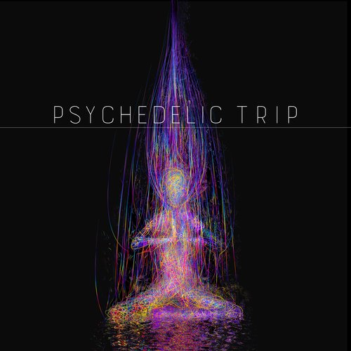 Psychedelic Trip: Higher Consciousness Meditation_poster_image