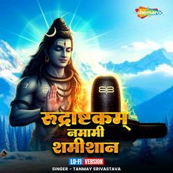 Rudrashtakam Namami Shamishan Lo-Fi Version
