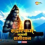Rudrashtakam Namami Shamishan Lo-Fi Version