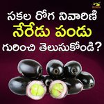 Sakala Roga Nivarini Neredu Pandu Gurinchi Telusukondi?