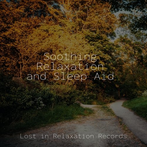 Nature's Symphony cover art