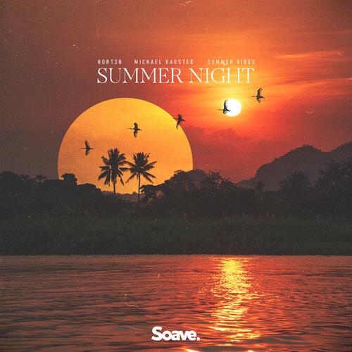 Summer Night_poster_image