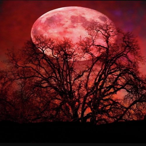TYPE BEAT BLOOD MOON