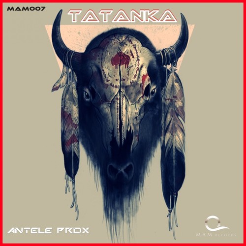 Tatanka_poster_image