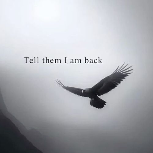 Tell Them I Am Back