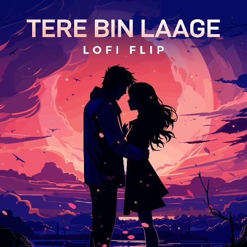 Tere Bin Laage (Lofi Flip)