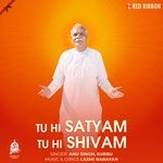 Tu Hi Satyam Tu Hi Shivam