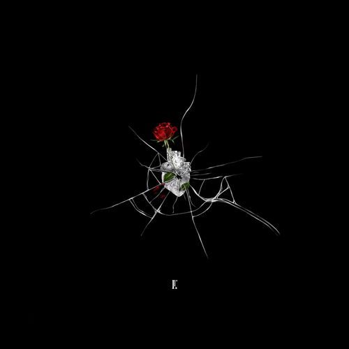 r o t a </3 cover art