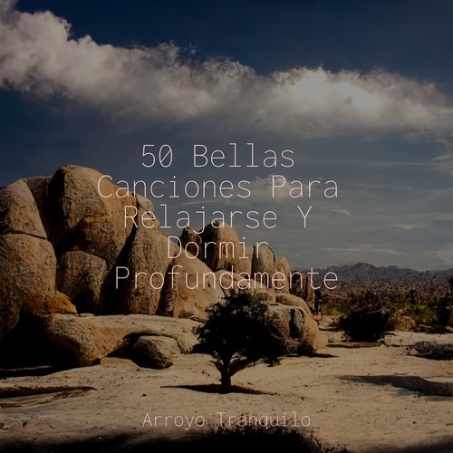 Relajación cover art