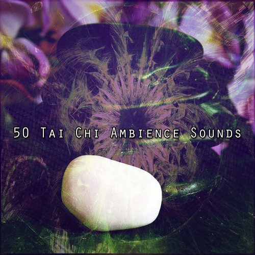 50 Tai Chi Ambience Sounds_poster_image