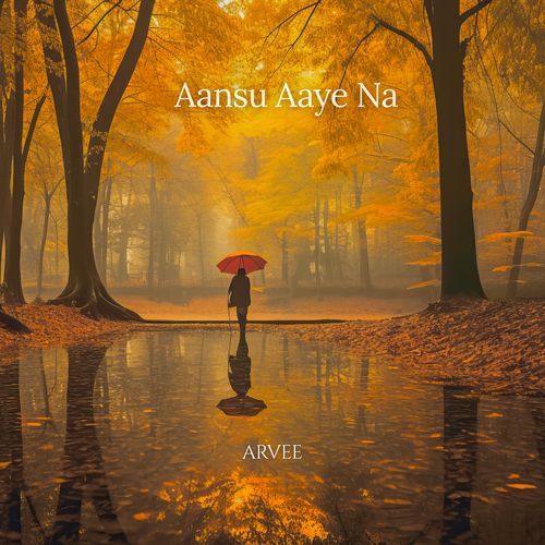 Aansu Aaye Na