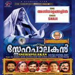 Agninalangalil